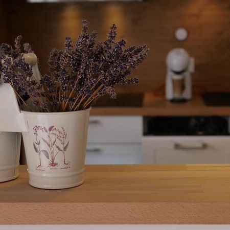 Ferienwohnung Gottleubapark Apartment ピルナ エクステリア 写真