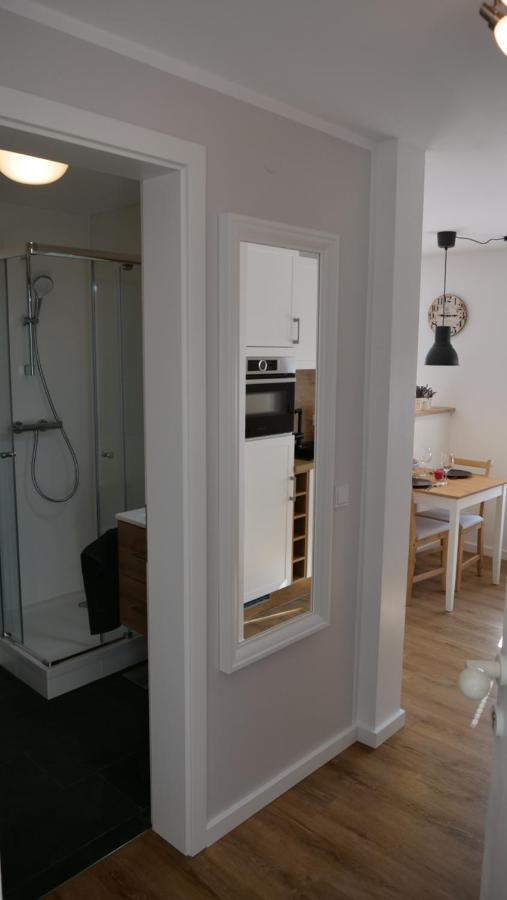 Ferienwohnung Gottleubapark Apartment ピルナ エクステリア 写真